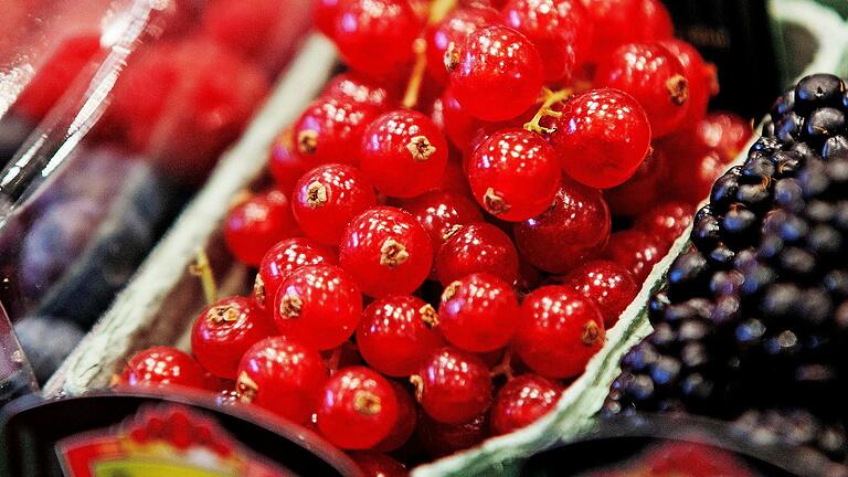Frisch aus Franken - und gesund: Johannisbeeren enthalten viel Vitamin C und rote Pflanzenfarbstoffe.&nbsp;