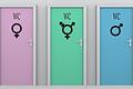 toilet doors for women and men and disabled persons       -  Drei Geschlechterbezeichnungen: In einigen Ländern gibt es das schon &ndash; besonders augenfällig als Kennzeichnung von Toilettentüren (auch wenn diese Variante frei erfunden ist).