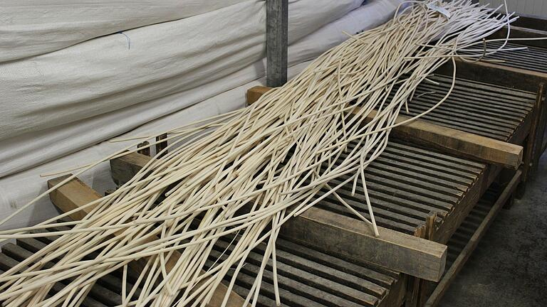 Der Rohstoff für Gärkörbchen: Rattan aus dem tropischen Regenwald. Etwa sechs Meter lang und zwischen 7,7 und 9,5 Millimeter stark ist das Peddigrohr, wenn es in Thüngen eintrifft. Der Rohstoff für Gärkörbchen: Rattan aus dem tropischen Regenwald. Etwa sechs Meter lang und zwischen 7,7 und 9,5 Millimeter stark ist das Peddigrohr, wenn es in Thüngen eintrifft. 