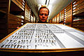 Nützlich: Der Entomologe Lars Krogmann hält einen Schaukasten mit Captain Cook's Wespen (Agenioideus nigricornis) im Löwentormuseum in Stuttgart (Baden-Württemberg). Die Captain Cook's Wespe soll im Kampf gegen den Maiszünsler helfen.