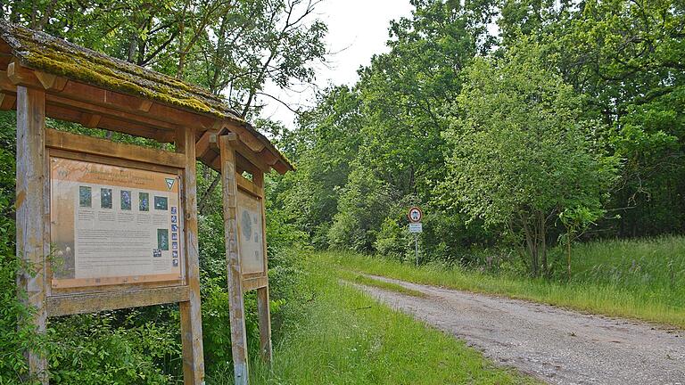 Ein Flurweg im Schulwald im Gemeindebereich von Herbstadt. Der Gemeinderat beschloss im Rahmen des Kleinprojektes 'Aktiv-Bänke' den Kauf von zehn Sitzbänken und zwei Tischen, die an verschiedenen Wegen im Bereich von Herbstadt, Ottelmannshausen und Breitensee aufgestellt werden sollen, um Spaziergängern und Wanderern Ausruh-Möglichkeiten zu bieten.