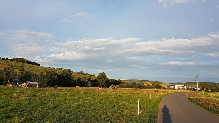 Der Blick vom Dorf zur Biogasanlage Schwemin&nbsp; in Lebenhan.