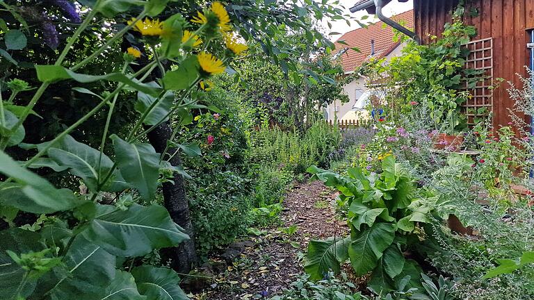 Ein Paradies für Insekten und Vögel. - Ein Paradies für Insekten und Vögel. Ein Paradies für Insekten und Vögel. - Ein Paradies für Insekten und Vögel.
