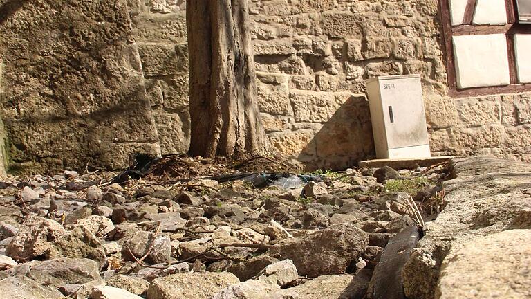 Solche geschotterten Grünanlagen sollte es nicht mehr geben, ist der Wunsch von drei Münnerstädterinnen, die einen Offenen Brief an den Stadtrat geschrieben haben. Foto: Heike Beudert - Solche geschotterten Grünanlagen sollte es nicht mehr geben, ist der Wunsch von drei Münnerstädterinnen, die einen Offenen Brief an den Stadtrat geschrieben haben. Foto: Heike Beudert Solche geschotterten Grünanlagen sollte es nicht mehr geben, ist der Wunsch von drei Münnerstädterinnen, die einen Offenen Brief an den Stadtrat geschrieben haben. Foto: Heike Beudert - Solche geschotterten Grünanlagen sollte es nicht mehr geben, ist der Wunsch von drei Münnerstädterinnen, die einen Offenen Brief an den Stadtrat geschrieben haben. Foto: Heike Beudert
