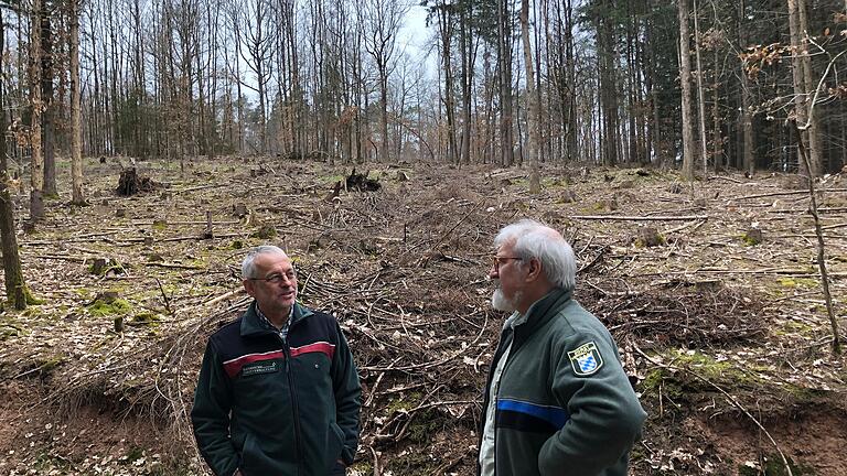 Große Rodungsflächen beidseits des Forstweges prägen mittlerweile das Bild in der Eyershäuser Waldabteilung Tannig, wo besonders viele Fichten dem Borkenkäfer zum Opfer gefallen sind. Stadtförster Herbert Geßner (links) und Forstdirektor Jürgen Hahn machen sich ein Bild von den Schäden. Große Rodungsflächen beidseits des Forstweges prägen mittlerweile das Bild in der Eyershäuser Waldabteilung Tannig, wo besonders viele Fichten dem Borkenkäfer zum Opfer gefallen sind. Stadtförster Herbert Geßner (links) und Forstdirektor Jürgen Hahn machen sich ein Bild von den Schäden. 