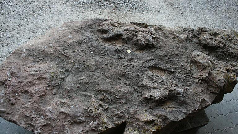 Steinerne Visitenkarte: Der Gössenheimer Steinblock weist eine Reihe urzeitlicher Spuren auf. Steinerne Visitenkarte: Der Gössenheimer Steinblock weist eine Reihe urzeitlicher Spuren auf.