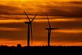 Im Planungsprozess für neue Windräder in Dertingen hätte einiges besser laufen können, findet unsere Autorin. (Symbolbild)