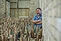 Ai Weiwei wird 60       -  Ai Weiwei 2015 in seinem Atelier im Prenzlauer Berg in Berlin. In dem Atelier lagern unter anderem die Hocker, die Ai Weiwei bei seiner Schau &bdquo;Evidence&ldquo; im Martin-Gropius-Bau 2014 ausgestellt hatte.
