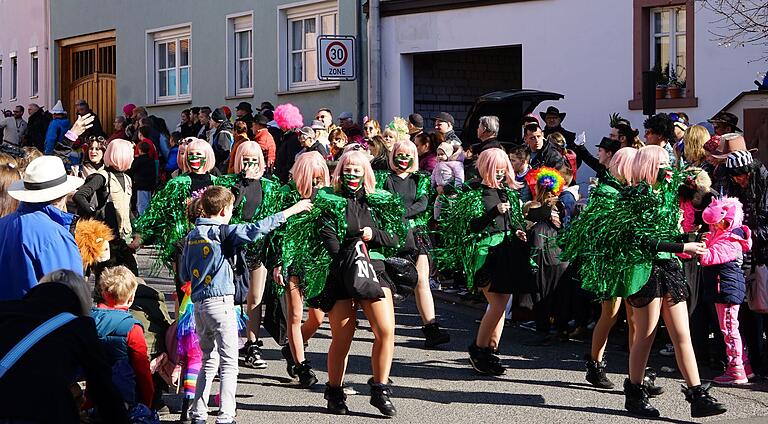 Ein bunter Gaudiwurm zog beim Faschingszug in Erlenbach durch die Straßen. Ein bunter Gaudiwurm zog beim Faschingszug in Erlenbach durch die Straßen.