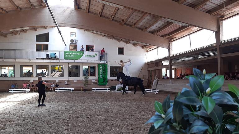 Jasmin Pfister bei ihrer Einzelkür: Das letzte Einhorn mit Pferd KCM C. Beaudine und Trainerin und Longenführer Martina Pfister. Jasmin Pfister bei ihrer Einzelkür: Das letzte Einhorn mit Pferd KCM C. Beaudine und Trainerin und Longenführer Martina Pfister.