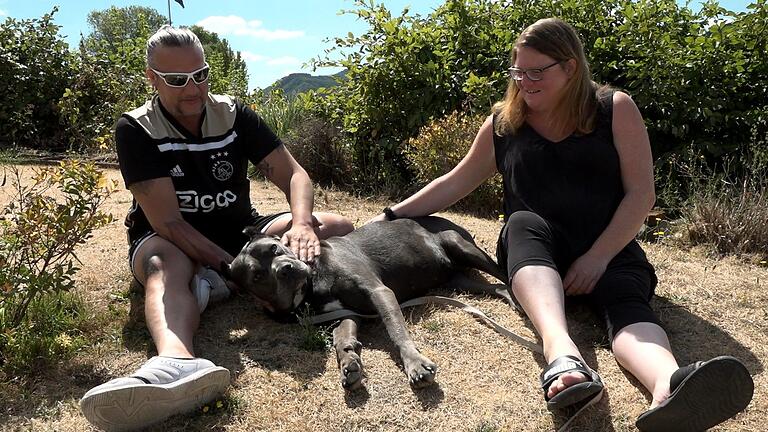 Erfolgsgeschichte bei 'Die Unvermittelbaren' mit Martin Rütter: Hündin Yvi aus dem Tierheim Haßberge hat sich bei Jürgen und Daniela gut eingelebt. Erfolgsgeschichte bei 'Die Unvermittelbaren' mit Martin Rütter: Hündin Yvi aus dem Tierheim Haßberge hat sich bei Jürgen und Daniela gut eingelebt.