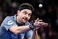 Timo Boll       -  Timo Boll ist eine einzigartige Tischtennis-Karriere gelungen.