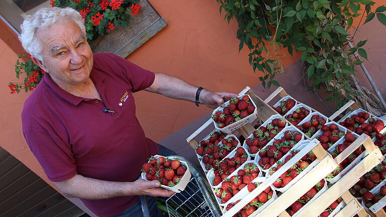 Bei diesen knallroten Erdbeeren strahlt Bauer Gebhard Büttner aus Alitzheim, zumal er selbst ein absoluter Fan der aromatischen Früchte ist. Bei diesen knallroten Erdbeeren strahlt Bauer Gebhard Büttner aus Alitzheim, zumal er selbst ein absoluter Fan der aromatischen Früchte ist.