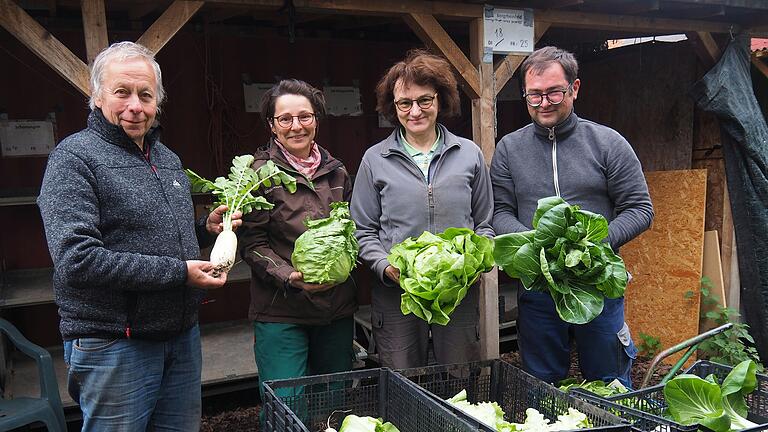 Martina Vierengel (zweite von links) hat den Schreibtisch gegen das Feld getauscht. Seit Herbst 2023 macht sie eine Ausbildung zur Gemüsegärtnerin bei der 'Solidarischen Landwirtschaft Schweinfurt und Umgebung e.V.' Sie sagt: 'Meine neue Arbeit gibt mir wieder Kraft und Zuversicht.' Martina Vierengel (zweite von links) hat den Schreibtisch gegen das Feld getauscht. Seit Herbst 2023 macht sie eine Ausbildung zur Gemüsegärtnerin bei der 'Solidarischen Landwirtschaft Schweinfurt und Umgebung e.V.' Sie sagt: 'Meine neue Arbeit gibt mir wieder Kraft und Zuversicht.'