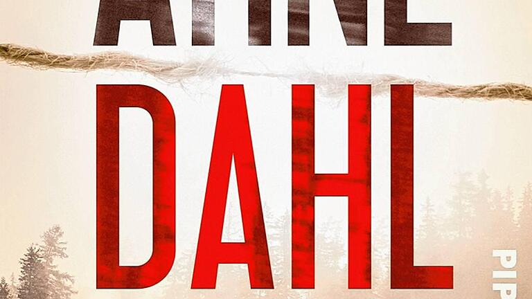 Der neue Arne Dahl: In den Tiefen fremder Seelen       -  _