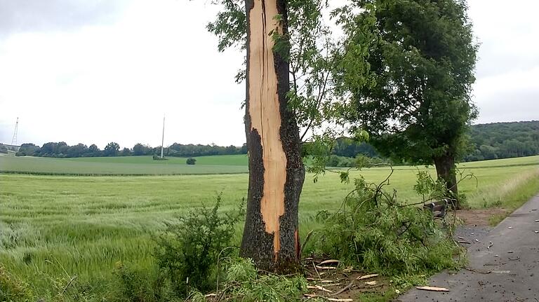 Ein Blitz hat am Wochenende in diesen Baum im Rottendorfer Ortsteil Rothof eingeschlagen. Ein Blitz hat am Wochenende in diesen Baum im Rottendorfer Ortsteil Rothof eingeschlagen.