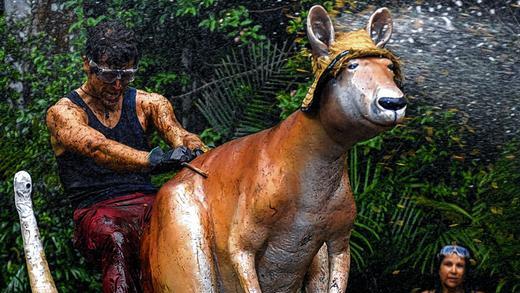 &bdquo;Känguru des Grauens&ldquo;: Am Montagabend traten Sänger Patrick Nuo (30) und Iris Klein (45, rechts), Mutter von Daniela Katzenberger, zur Dschungelprüfung an.