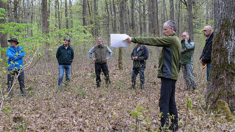 Beim ersten Waldbegang legte Karsbachs neuer Revierbetreuer Meinolf Arndt (Gemünden) den Informationsschwerpunkt auf die Pflege von Naturverjüngung, Jugendpflege und Jungdurchforstung zur Förderung der Baumart Eiche.