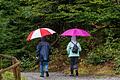 Wetterdienst: Regenschirm ist zum Wochenstart treuer Begleiter       -  Die Menschen in Bayern müssen sich auf Regenschirm-Wetter einstellen. (Symbolbild)