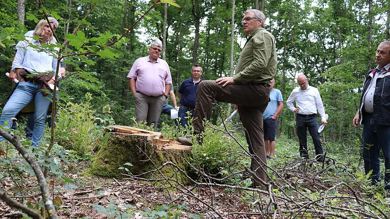 Jährlicher Waldgang des Iphöfer Stadtrats: Förster Rainer Fell zeigt im Juli 2021 die Schäden durch Trockenheit und Schädlinge – eine unheilvolle Mischung. Jährlicher Waldgang des Iphöfer Stadtrats: Förster Rainer Fell zeigt im Juli 2021 die Schäden durch Trockenheit und Schädlinge – eine unheilvolle Mischung.