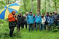 Bei dieser Lichtung zwischen alten Buchen und Eichen wachsen bereits junge Bäume nach. Revierförster German-Michael Hahn (links) hatte bei der öffentlichen Begehung aufmerksame Zuhörerinnen und Zuhörer aus der Gemeinde Hausen.