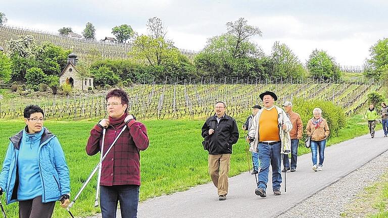 Unterwegs am Falkenberg: Gäste aus fast ganz Franken wanderten am 1. Mai durch die Weinberge oberhalb von Falkenstein, dem kleinsten Ortsteil der Gemeinde Donnersdorf.