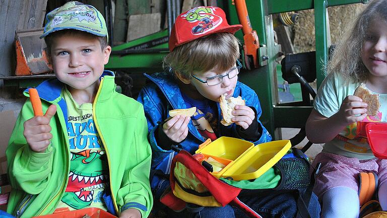 Ein Bauernhof mit seinen vielen Aspekten ist für die Kinder immer interessant, hier ein Archivbild von der Aktion 'Wo wächst unser Mittagessen?' Ein Bauernhof mit seinen vielen Aspekten ist für die Kinder immer interessant, hier ein Archivbild von der Aktion 'Wo wächst unser Mittagessen?'