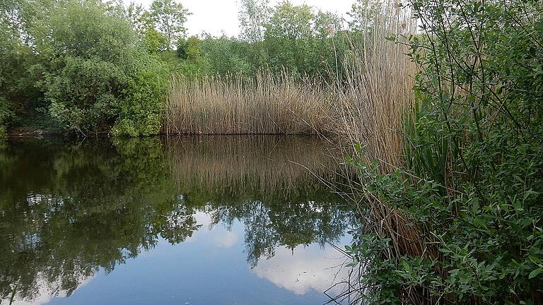 Von der Natur zurückerobert: die Böschungen an den Wasserflächen. Von der Natur zurückerobert: die Böschungen an den Wasserflächen.