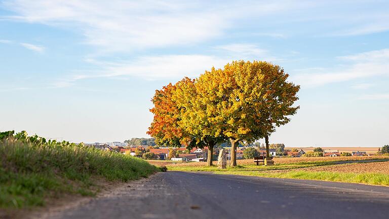 Der Kulturweg 'Vom Minnesang zum Düsenklang' führt von Eßfeld nach Giebelstadt und zurück.