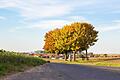 Der Kulturweg 'Vom Minnesang zum Düsenklang' führt von Eßfeld nach Giebelstadt und zurück.