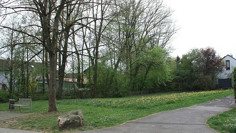 Die Fläche des vor Jahren aufgelassenen Spielplatzes in der Breslauer Straße liegt zum Teil im Schatten der Bäume, die an der Volkach stehen. Die Fläche des vor Jahren aufgelassenen Spielplatzes in der Breslauer Straße liegt zum Teil im Schatten der Bäume, die an der Volkach stehen.