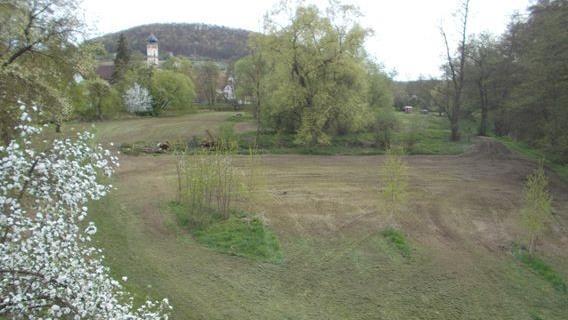 Was geschieht mit der Langendorfer Saaleinsel? Bleibt sie ein Naturhabitat oder wird sie von einem Pächter gepflegt und für die Tierhaltung genutzt? Die Bürger, der Obst- und Gartenbauverein und der Gemeinderat sollen in Kürze darüber vor Ort ents...       -  Was geschieht mit der Langendorfer Saaleinsel? Bleibt sie ein Naturhabitat oder wird sie von einem Pächter gepflegt und für die Tierhaltung genutzt? Die Bürger, der Obst- und Gartenbauverein und der Gemeinderat sollen in Kürze darüber vor Ort entscheiden.