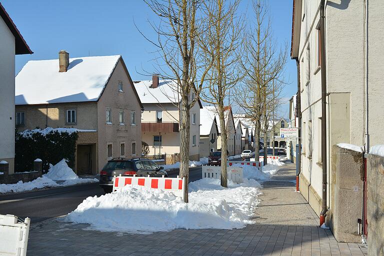 Einige Bäume in der Falltorstraße müssen weichen, um Platz für notwendige Parkplätze zu schaffen.