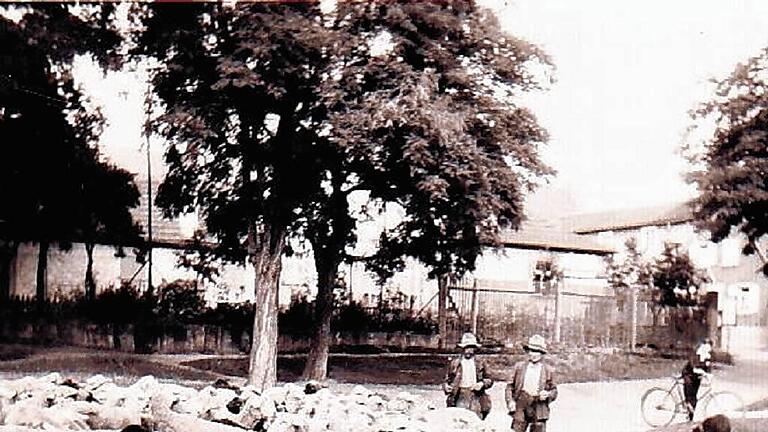 Schäfer und Schafherde am Oberndorfer Weiher im August 1939.