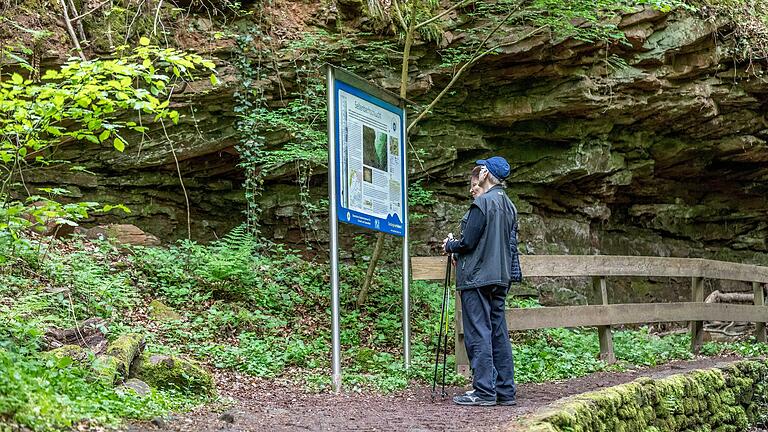 Der Weg führt zunächst durch die Enge der romantischen Seltenbachschlucht. Die Seltenbachschlucht (Lkr. Miltenberg) zählt zu den 100 schönsten Geotopen Bayerns. Die Gesteinsschichten dort erzählen 250 Millionen Jahre Erdgeschichte. Die dichtbewachsene Schlucht ist Lebensraum für Amphibien aller Art.