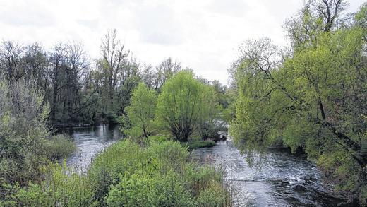 Rückzugsgebiet für Tiere und Pflanzen: Für Vielfalt sorgen das schnell fließende Wasser und die Inseln.