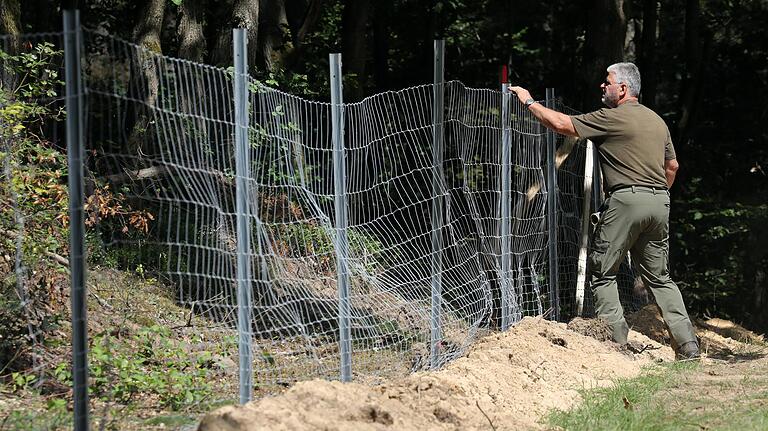 An Teilen der deutsch-polnischen Grenze, wie hier in Mecklenburg-Vorpommern, wurde bereits im Sommer ein Wildschutzzaun gegen die Afrikanische Schweinepest (ASP) errichtet.&nbsp;