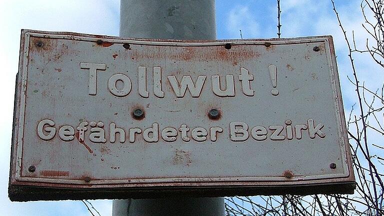 tollwut - Vor 25 Jahren grassierte die Tollwut noch im Landkreis Main-Spessart. Heute gehören solche Schilder der Vergangenheit an, denn die Tollwut gilt seit neun Jahren als gebannt. tollwut - Vor 25 Jahren grassierte die Tollwut noch im Landkreis Main-Spessart. Heute gehören solche Schilder der Vergangenheit an, denn die Tollwut gilt seit neun Jahren als gebannt.