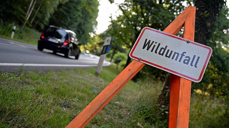 Wildunfall ja oder nein, das war jetzt  die Frage vor Gericht in Bad Kissingen. Ihr Vertrauen in einen Versicherungsmakler kam jetzt zwei Unfallbeteiligte teuer zu stehen. Einmal mehr wird deutlich: Bei Wildunfall immer die Polizei rufen.Susann Prautsch/dpa       -  Wildunfall ja oder nein, das war jetzt  die Frage vor Gericht in Bad Kissingen. Ihr Vertrauen in einen Versicherungsmakler kam jetzt zwei Unfallbeteiligte teuer zu stehen. Einmal mehr wird deutlich: Bei Wildunfall immer die Polizei rufen.Susann Prautsch/dpa