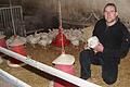 Wolfgang Schäfer ist Direktvermarkter. Der Kleinlangheimer verkauft Eier und Fleisch in seinem Hofladen und über einen Verkaufswagen. Neben 300 Legehennen hält er auf seinem Hof Masthähnchen (Bild), Puten, Wachteln, Gänse, Enten, Fasane und im Sommer Perlhühner. Fotos: Daniela Röllinger