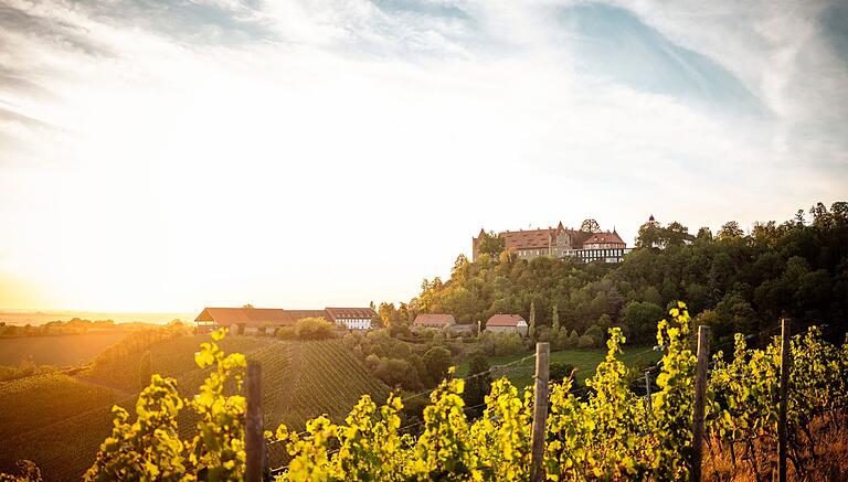 Schloss Frankenberg.