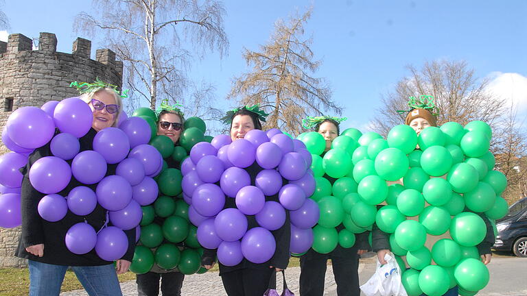 Bei strahlendem Sonnenschein: So bunt und fröhlich feiern die Narren beim Faschingsumzug in Sulzfeld am Main 2025.