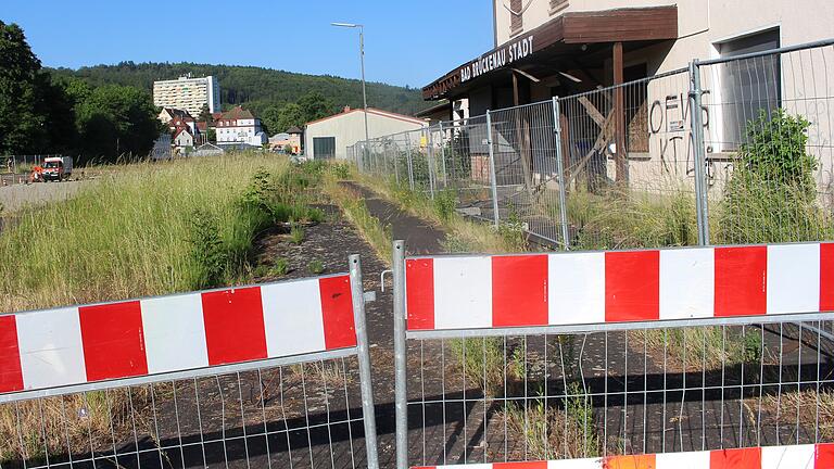 Am Bahnhof wuchert es im Sommer besonders. Besonders gepflegt wirkt das Areal nicht. Das Foto stammt au dem Sommer 2023.       -  Am Bahnhof wuchert es im Sommer besonders. Besonders gepflegt wirkt das Areal nicht. Das Foto stammt au dem Sommer 2023.