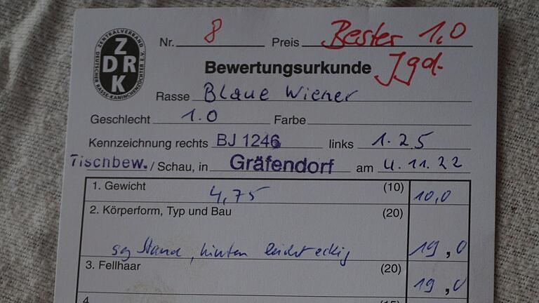 Eine Bewertungskarte für 'Blaue Wiener', mit der die Körpermerkmale festgehalten werden. Eine Bewertungskarte für 'Blaue Wiener', mit der die Körpermerkmale festgehalten werden.