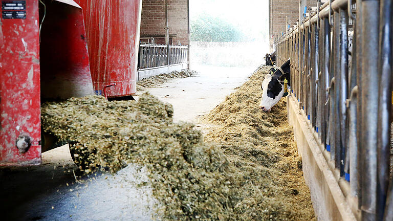 Tierställe: Wenn der Prüfer nicht kommt       -  Sollten landwirtschaftliche Betriebe öfter und strenger kontrolliert werden?