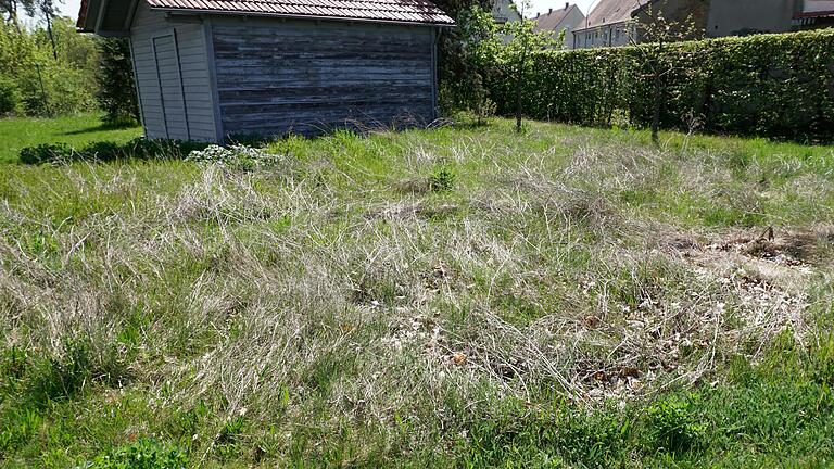 Derselbe Altgrasstreifen, aufgenommen Ende April: Neues Grün treibt durch. Derselbe Altgrasstreifen, aufgenommen Ende April: Neues Grün treibt durch.
