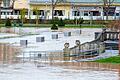 Im Januar 2024 stand der Rosengarten in Bad Kissingen zu weiten Teilen unter Wasser.
