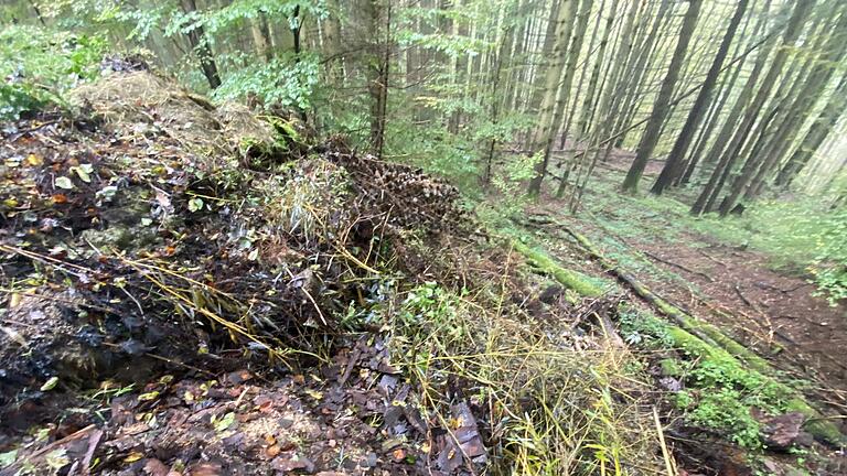 Am Ende eines Weges im Wald bei Ruppertshütten hat sich eine wilde Ablagerungsstelle für Grünabfall entwickelt. Die Stadt wird diese laut Bürgermeister Mario Paul nicht dulden. Doch Abhilfe ist gar nicht so leicht. Am Ende eines Weges im Wald bei Ruppertshütten hat sich eine wilde Ablagerungsstelle für Grünabfall entwickelt. Die Stadt wird diese laut Bürgermeister Mario Paul nicht dulden. Doch Abhilfe ist gar nicht so leicht. 