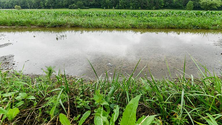 Der viele Regen der vergangenen Tage und Wochen hat große Wasserlachen auf einem Feld in Waldbüttelbrunn (Lkr. Würzburg) hinterlassen. Der viele Regen der vergangenen Tage und Wochen hat große Wasserlachen auf einem Feld in Waldbüttelbrunn (Lkr. Würzburg) hinterlassen.