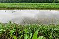 Der viele Regen der vergangenen Tage und Wochen hat große Wasserlachen auf einem Feld in Waldbüttelbrunn (Lkr. Würzburg) hinterlassen.